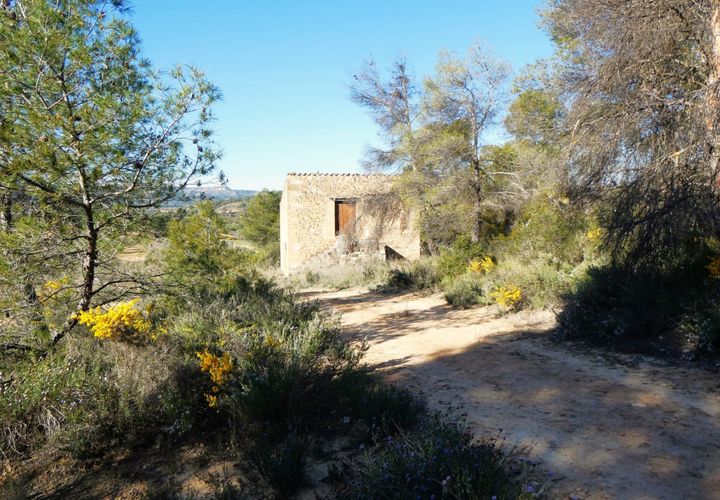 Finca i Batea, Tarragona, Batea - € 56.000 | Ref: 1110 - foto 1