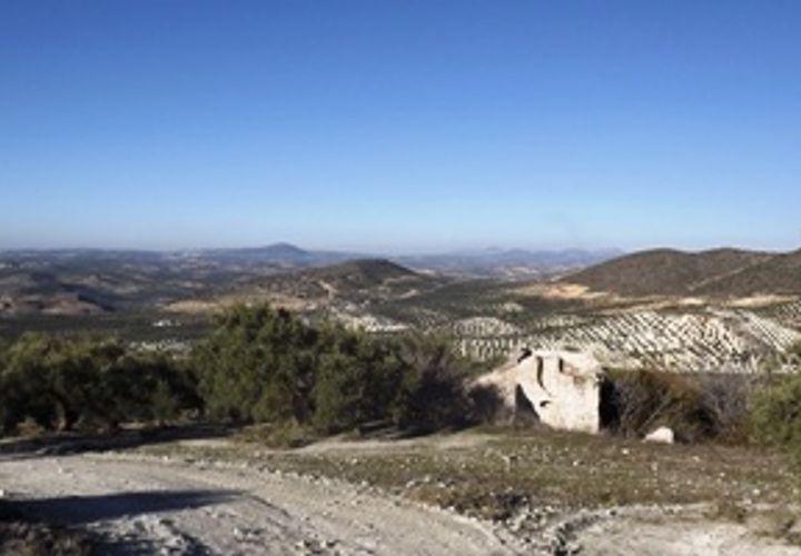 Finca i Antequera, Malaga, Antequera - € 45.000 | Ref: ID4111 - foto 1