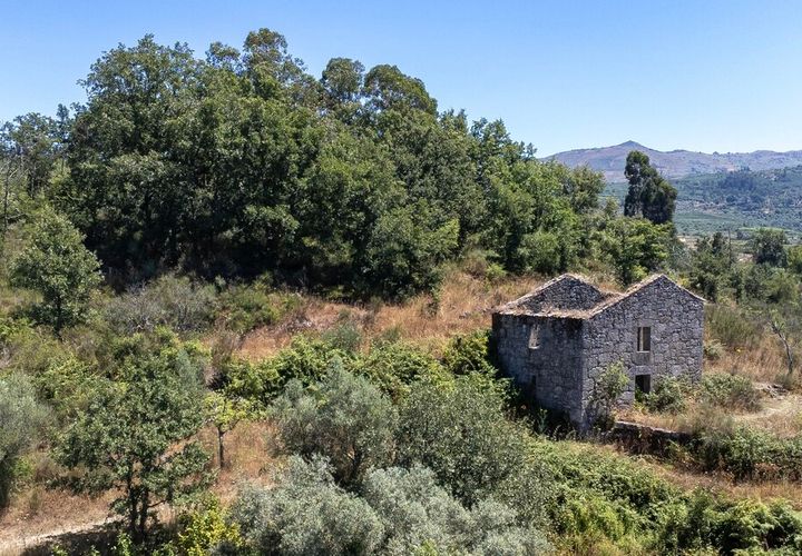 Farm i Melo e Nabais, Guarda, Melo e Nabais - € 150.000 | Ref: SF-SAFTI:008290 - foto 1