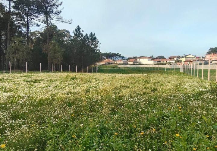 Terra a Barqueiros, Braga, Barqueiros - € 49.500 | Ref: HC0776 - foto 1