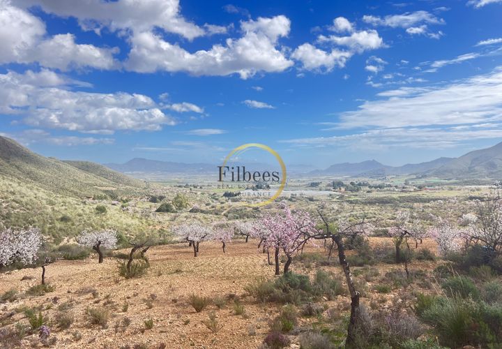 Landejendom i Lorca, Murcia, Lorca - € 200.000 | Ref: 1098 - foto 1