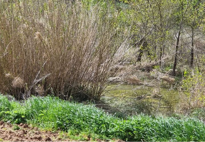 Finca i Caseres, Tarragona, Caseres - € 7 000 | Ref: C7 - foto 1