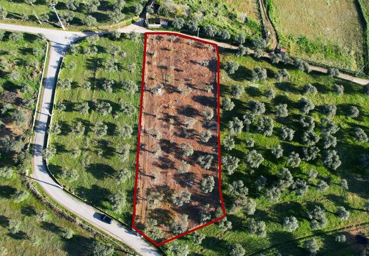 Terra a Penamacor, Castelo Branco, Penamacor - € 19.000 | Ref: 102260059 - foto 1