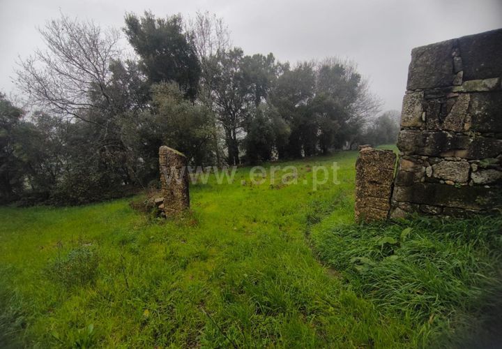 Helårsgrund i Barcelos, Braga, Barcelos - € 120.000 | Ref: 254260692 - foto 1