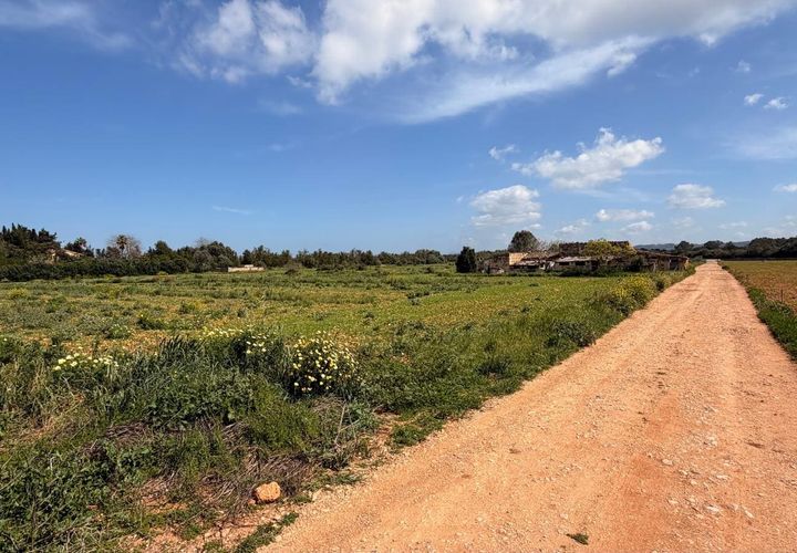 Helårsgrund i Llubi, Mallorca, Llubi - € 1.200.000 | Ref: 996P - foto 1