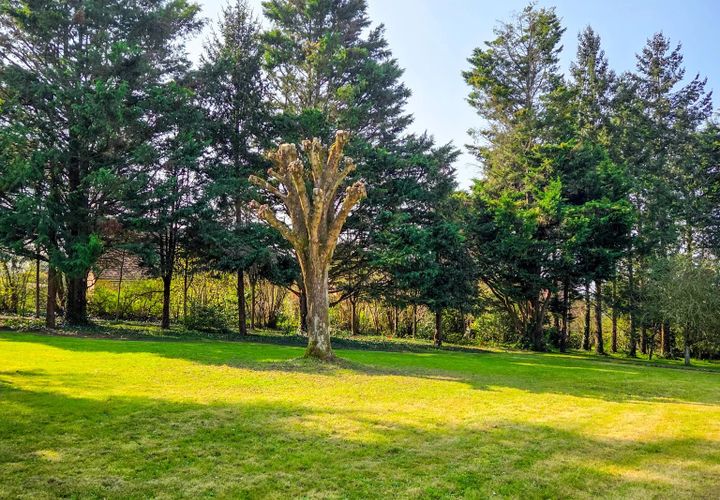 Terra a Le Mans, Sarthe, Le Mans - € 315.000 | Ref: 12399 - foto 1