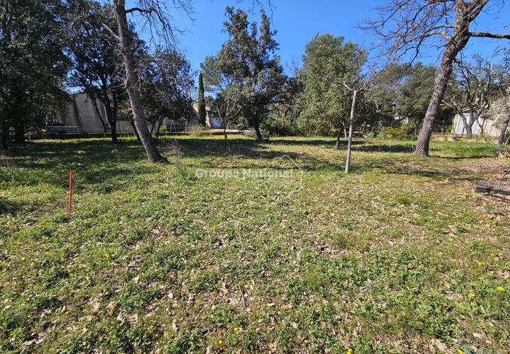 Terra a Saint-Didier, Vaucluse, Saint-Didier - € 138.500 | Ref: PV 467 - foto 1