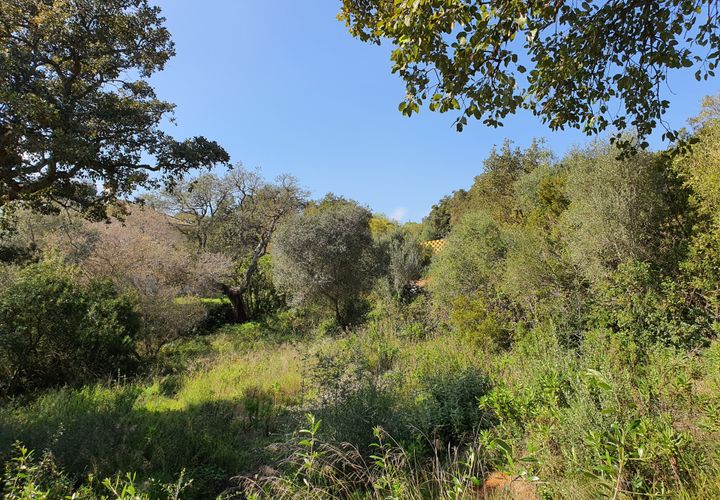 Helårsgrund i Sotogrande, Cadiz, Sotogrande - € 725.000 | Ref: ED-RR2240 - foto 1