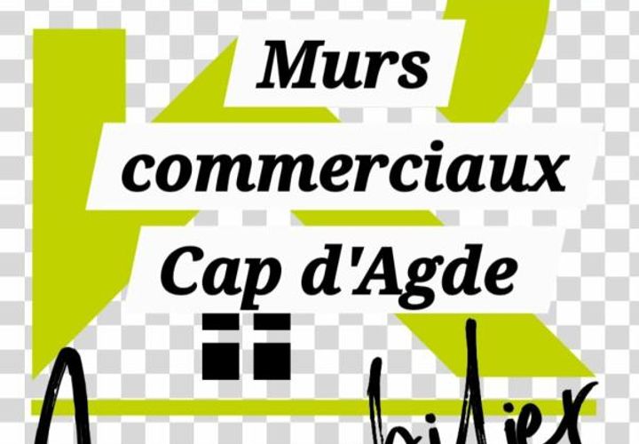 Erhvervsejendom i Agde, Herault, Agde - € 205.000 | Ref: 4_GCVCO190007696 - foto 1