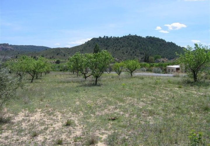Helårsgrund i Calasparra, Murcia, Calasparra - € 40.000 | Ref: AG19MLSC934198 - foto 1