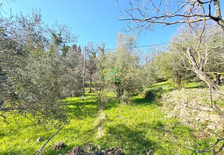 Helårsgrund i Opio, Alpes-Maritimes, Opio - € 560.000 | Ref: 86835166 - foto 1