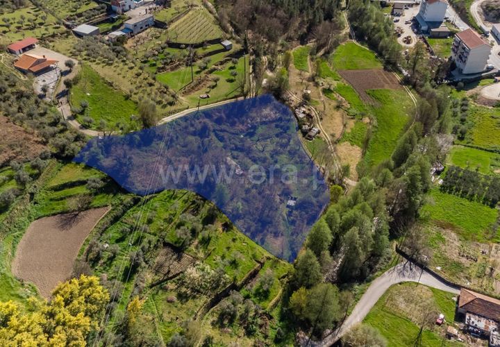 Terra a Covilha, Castelo Branco, Covilha - € 20.000 | Ref: 111260082 - foto 1
