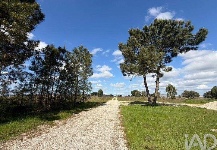 Terra a Palmela, Setubal, Palmela - € 29.900 | Ref: 859178 - foto 1