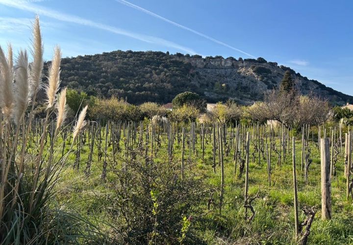 Grond in Cornas, Ardeche, Cornas - € 109.000 | Ref: RG-CORNAS - foto 1