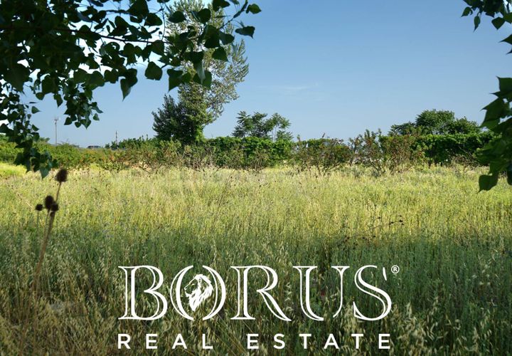 Terra a Frignano, Caserta, Frignano - € 50.000 | Ref: BR235 - foto 1