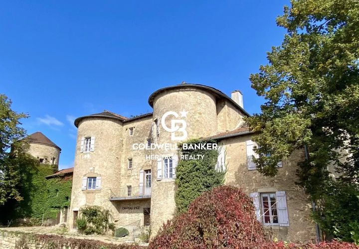 Landejendom i Ige, Saone-et-Loire, Ige - € 2.300.000 | Ref: 69255 - foto 1