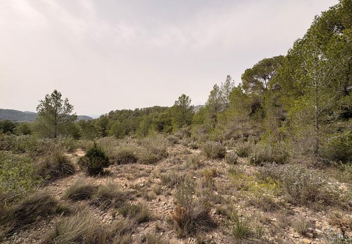 Helårsgrund i Petrer, Alicante, Petrer - € 106.000 | Ref: JJO7255 - foto 1