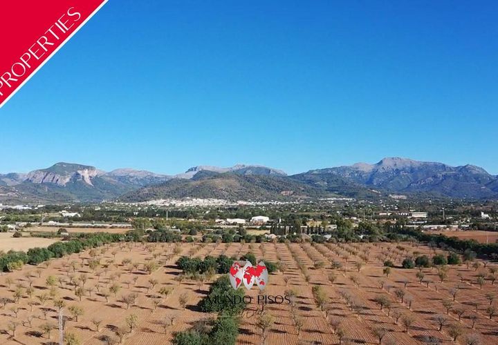 Helårsgrund i Inca, Mallorca, Inca - € 1.700.000 | Ref: S137 - foto 1