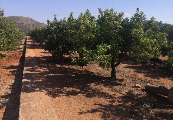 Terra a Oliva, Valencia, Oliva - € 28.000 | Ref: PNPT267 - foto 1