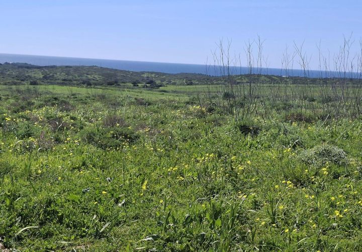 Helårsgrund i Sagres, Faro, Sagres - € 49.000 | Ref: KWPT-030237 - foto 1