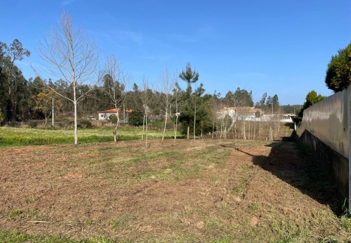 Helårsgrund i Macinhata do Vouga, Aveiro, Macinhata do Vouga - € 33.000 | Ref: KWPT-030034 - foto 1