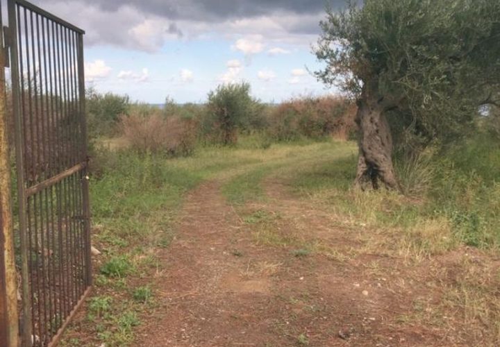 Terra a Messina, Messina, Messina - € 9.000 | Ref: GIH-5021 - foto 1