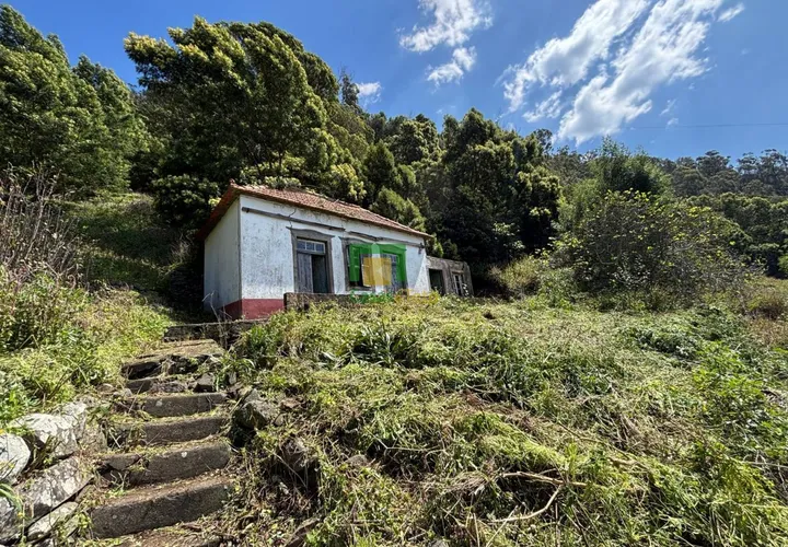Villa a Ribeira Brava, Madeira, Ribeira Brava - € 133.000 | Ref: CT-1890/2026 - foto 1