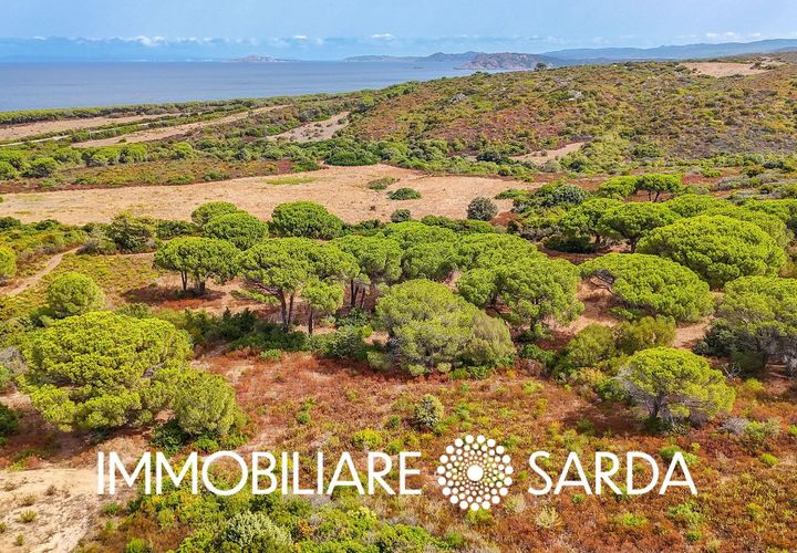Helårsgrund i Aglientu, Sassari, Aglientu - € 590.000 | Ref: TVI-01-25b - foto 1