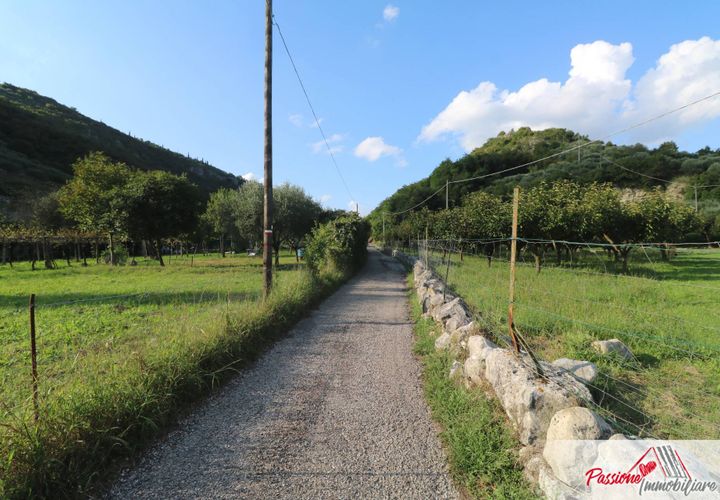 Terra a Verona, Verona, Verona - € 105.000 | Ref: AG520 - foto 1