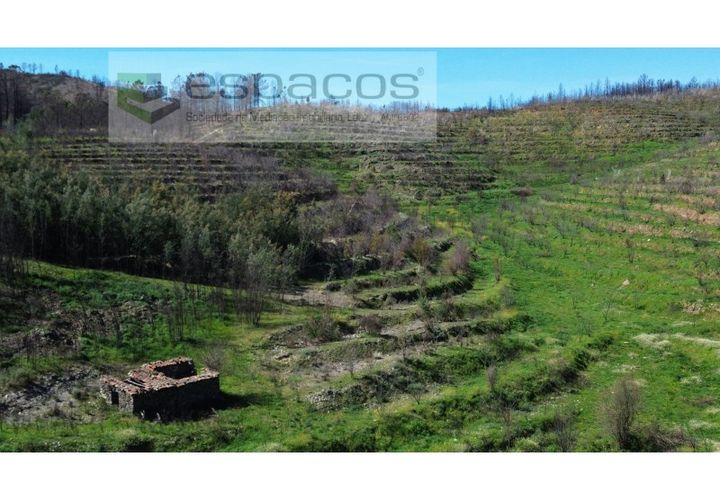 Terra a Fundao, Castelo Branco, Fundao - € 70.000 | Ref: 5777/FA - foto 1