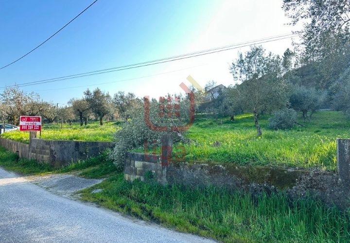 Helårsgrund i Ourem, Santarem, Ourem - € 35.000 | Ref: 1357 - foto 1