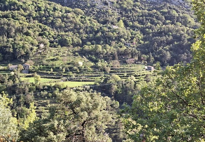 Helårsgrund i Peille, Alpes-Maritimes, Peille - € 405.000 | Ref: 38215 - foto 1