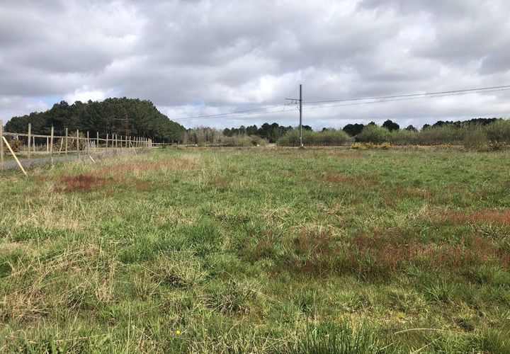 Helårsgrund i Queyrac, Gironde, Queyrac - € 139.000 | Ref: 12176DH1301 - foto 1