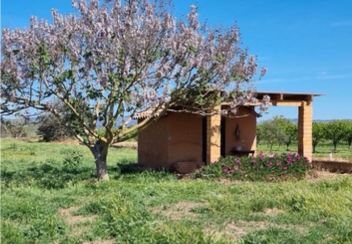 Finca i Ginestar, Tarragona, Ginestar - € 17.000 | Ref: Gh - foto 1