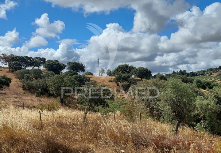 Helårsgrund i Avis, Portalegre, Avis - € 13.250 | Ref: 031209 - foto 1