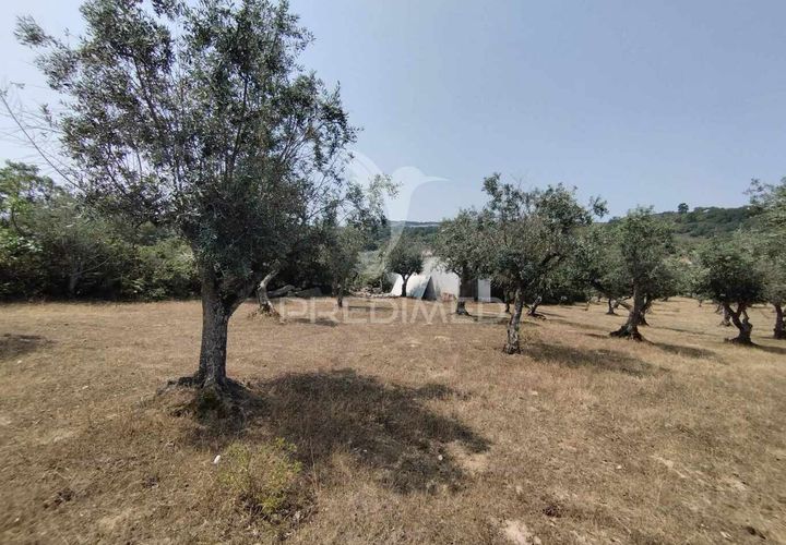 Terra a Castelo de Vide, Portalegre, Castelo de Vide - € 45.000 | Ref: 038119 - foto 1