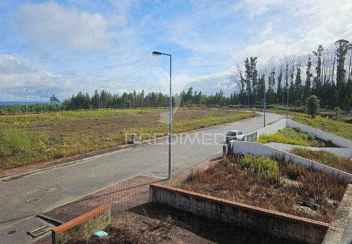 Terra a Penacova, Coimbra, Penacova - € 600.000 | Ref: 043940 - foto 1
