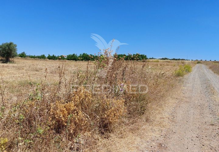 Helårsgrund i Beja, Beja, Beja - € 35.000 | Ref: 045417 - foto 1