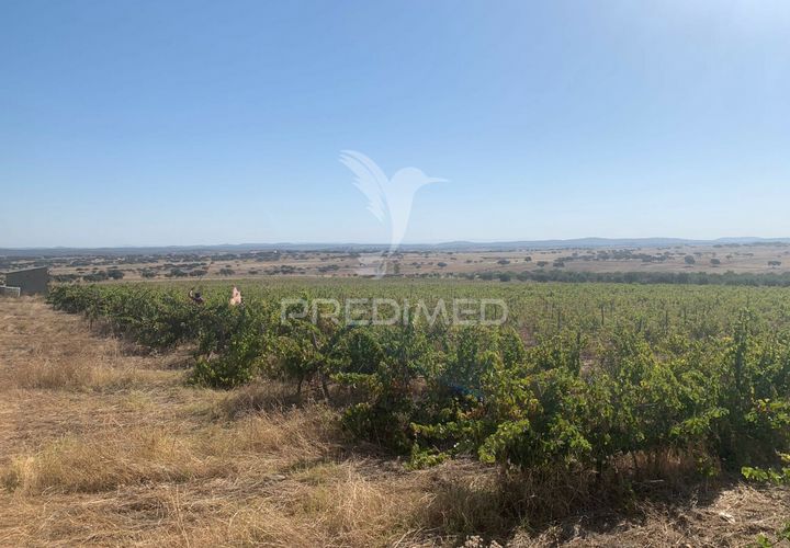 Terra a Mourao, Evora, Mourao - € 250.000 | Ref: 046576 - foto 1