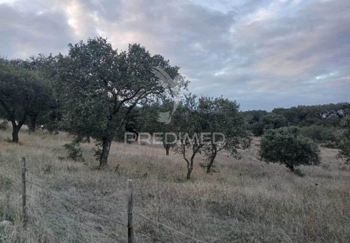 Terra a Alandroal, Evora, Alandroal - € 19.150 | Ref: 048492 - foto 1