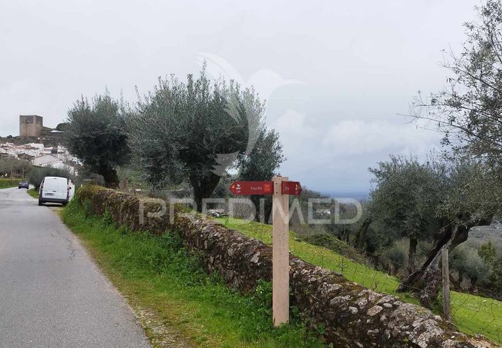 Terra a Castelo de Vide, Portalegre, Castelo de Vide - € 25.000 | Ref: 051256 - foto 1