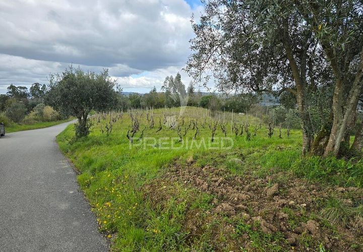 Helårsgrund i Coimbra, Coimbra, Coimbra - € 20.000 | Ref: 052441 - foto 1