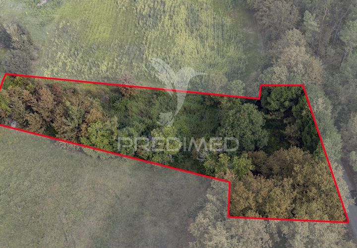 Helårsgrund i Vila Verde, Braga, Vila Verde - € 59.000 | Ref: 054917 - foto 1