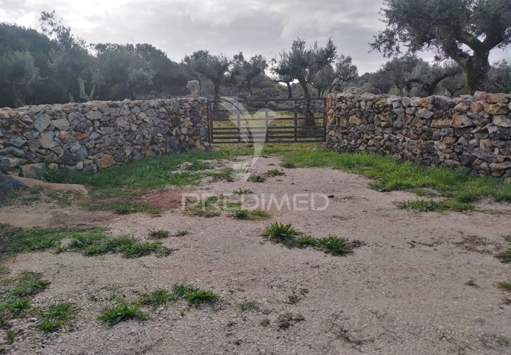 Terra a Alcanena, Santarem, Alcanena - € 13.500 | Ref: 057332 - foto 1