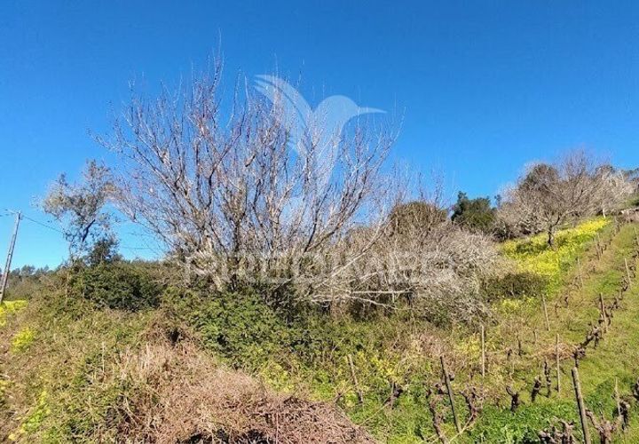 Helårsgrund i Torres Vedras, Lisbon, Torres Vedras - € 49.900 | Ref: 058654 - foto 1