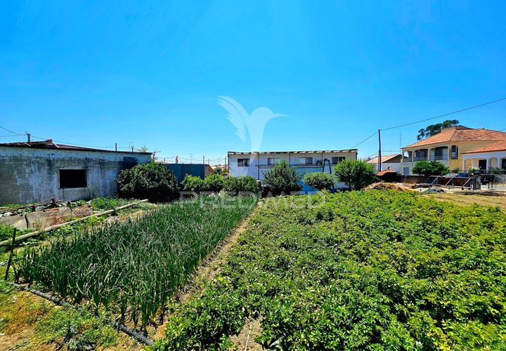 Byhus i Castro Verde, Beja, Castro Verde - € 140.000 | Ref: 045583 - foto 1