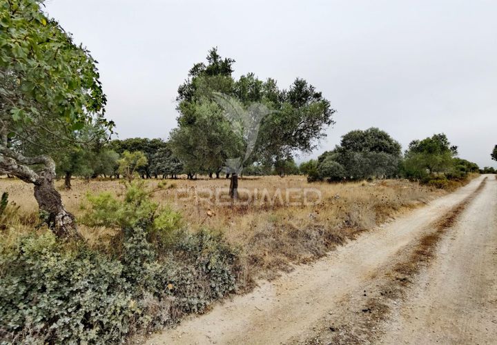 Terra a Alcanena, Santarem, Alcanena - € 13.000 | Ref: 046954 - foto 1
