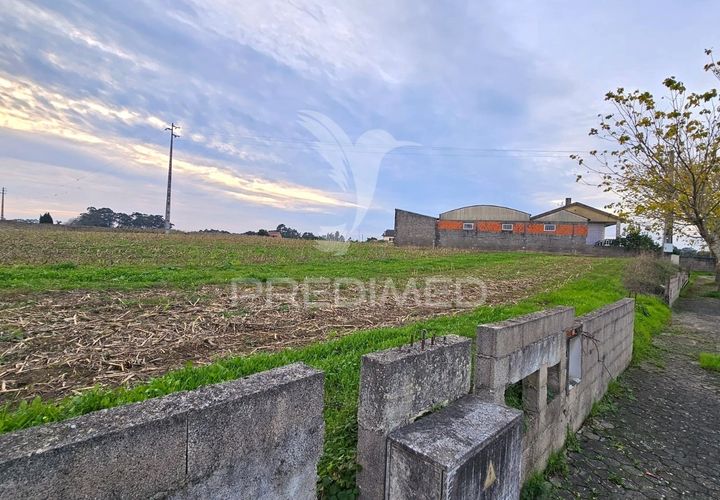 Helårsgrund i Aveiro, Aveiro, Aveiro - € 65.000 | Ref: 048489 - foto 1