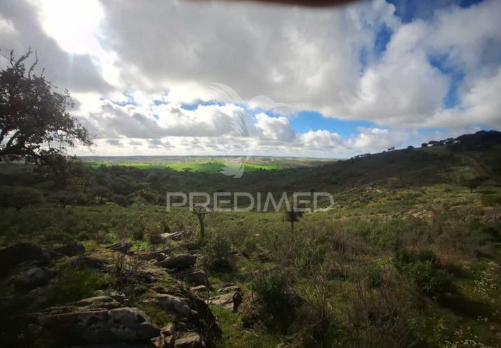 Terra a Alandroal, Evora, Alandroal - € 250.000 | Ref: 049938 - foto 1
