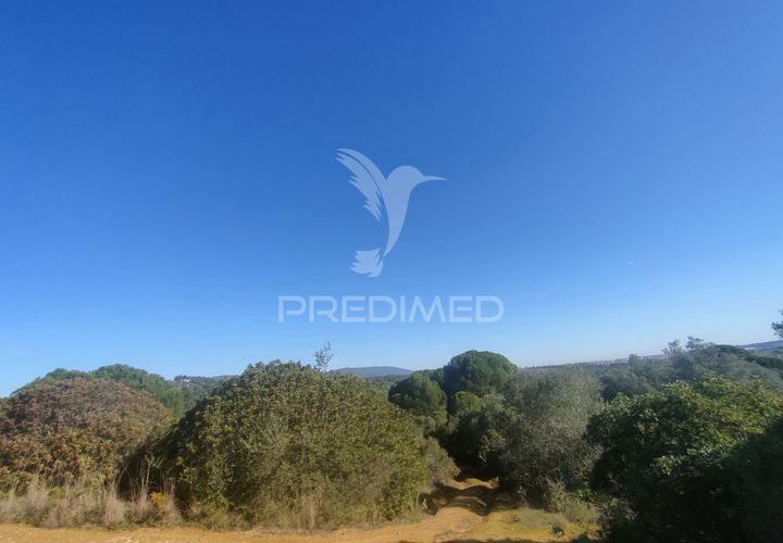 Terra a Alcanena, Santarem, Alcanena - € 12.500 | Ref: 050115 - foto 1